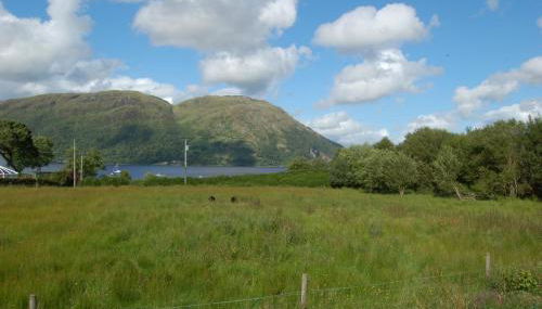 Mountain View - Foto 3, Garden view