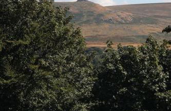 The Cloves Farm Shepherd’s Hut - Foto 15