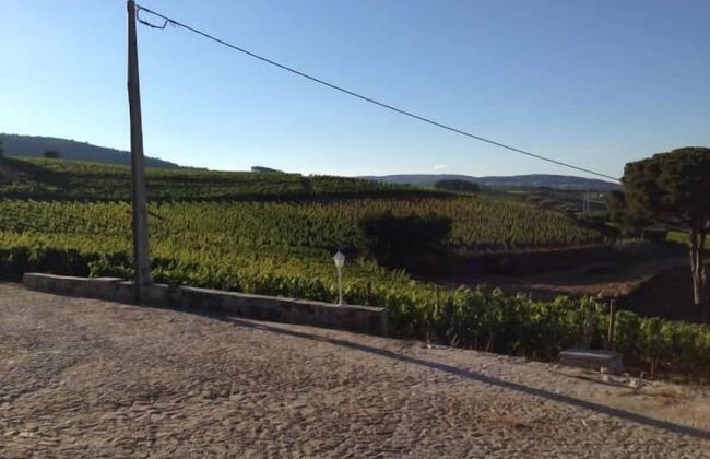 Quinta dos Espinheiros - Foto 26