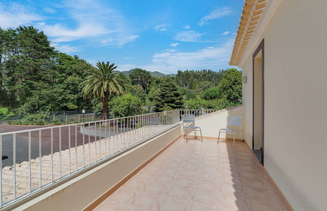 Quinta dos Abutitos - Foto 14