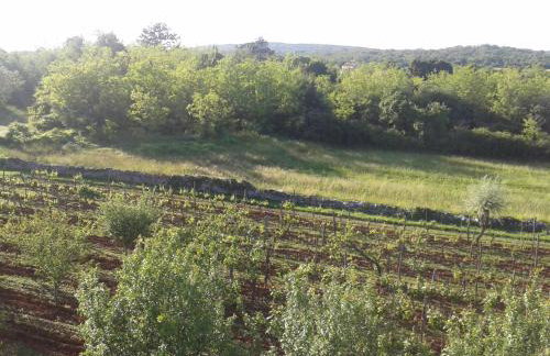 Apartments Irene - Foto 7