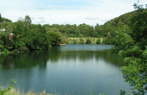 Ferienhaus am Maibüsch - rollstuhlgerecht - Photo 17