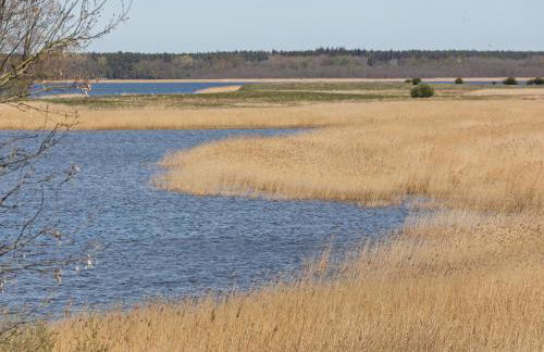 Cozy Escape Near the Baltic - Foto 39