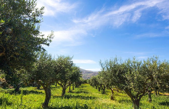 L'Ulivo Blu Apartments by Wonderful Italy - Foto 38