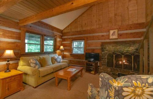 Swiss Mountain Village - Foto 46