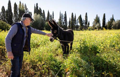 YourHouse Deulosal, apartment in rural house with pool - Foto 9