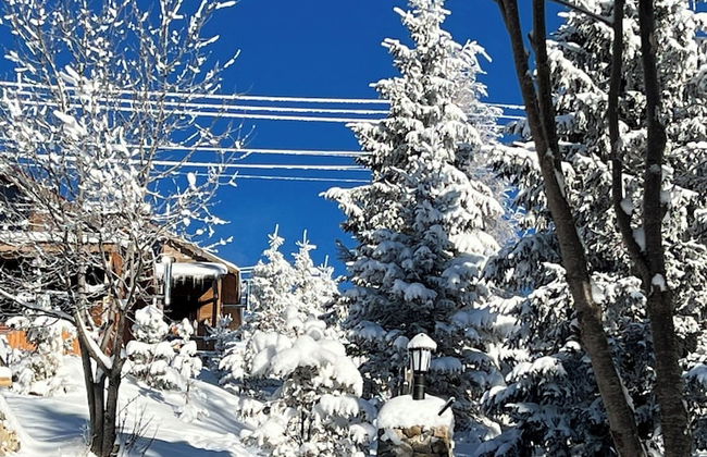 Ny Çambaşı - Foto 51