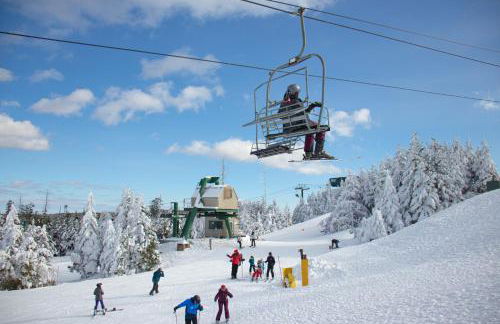 ML240 Mountain Views Next to slopes Gated Parking - Foto 10