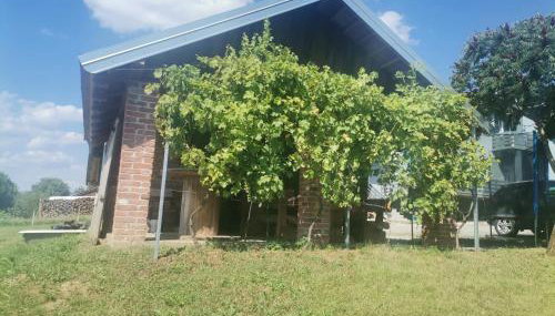 Apartman ŠIPA - Foto 5