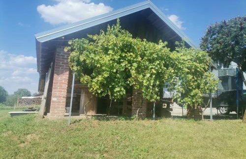 Apartman ŠIPA - Foto 5