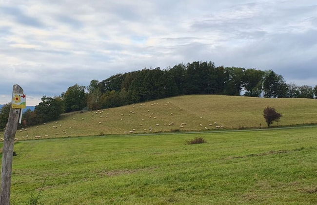 Lovely Apartment in Extertal - Foto 9