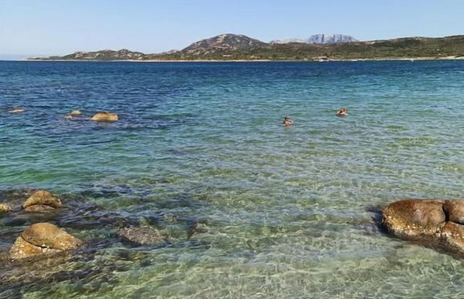 Studio's Pavese - Foto 73