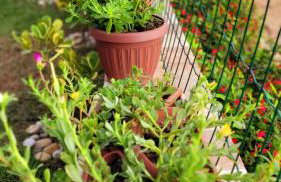 Casa à beira mar de Maragogi com 4 quartos, 4 banheiros e Área Verde - Foto 63