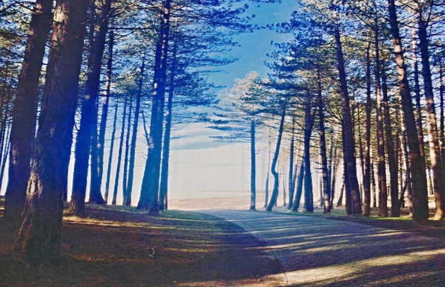 Apartment in Bergen aan Zee With Roof Terrace - Photo 28