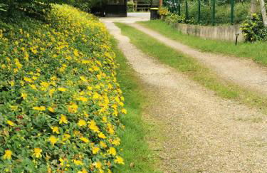 Villa spacieuse près de Senonches avec piscine privée - Foto 55