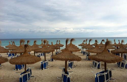 Calamilloraptm2 - Foto 30