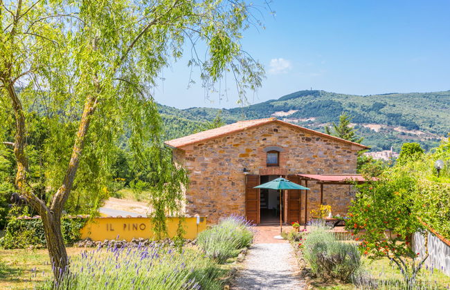 Pino di Sopra - Foto 60