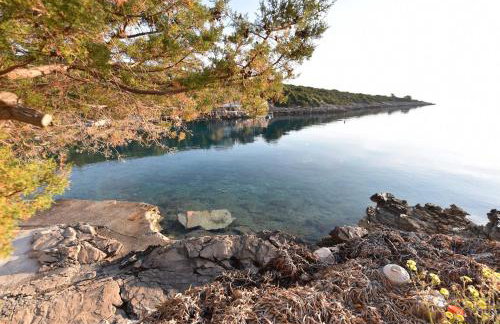 Apartmani Marko - Foto 57