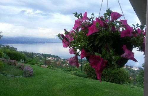 Apartments Villa Krasa - Foto 42