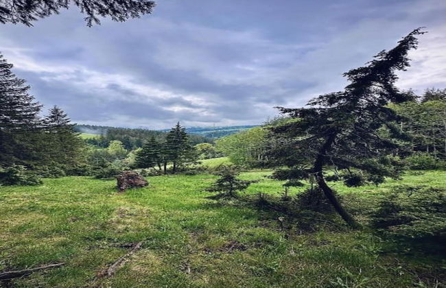 Apartment in Gutenbach With Nearby Forest - Foto 35