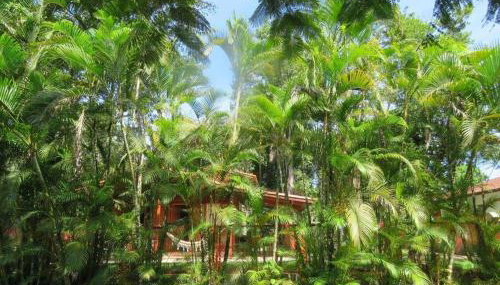 Casinha - Foto 2