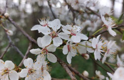 Gemütliche Zwei-Zimmer-Ferienwohnung "W1" in Zwenkau bei Leipzig im Neuseenland - Foto 12