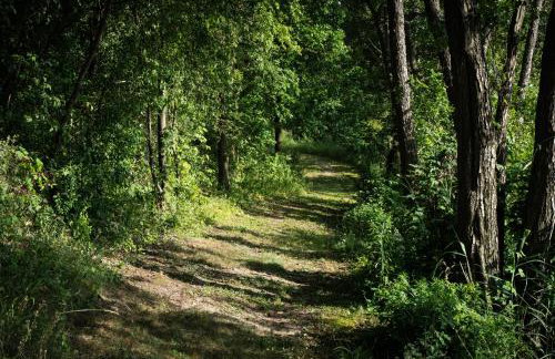 Domki nad jeziorem - Foto 14