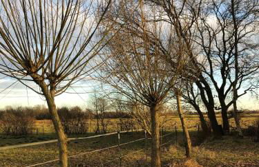 Haus am Reithmoor - Foto 33