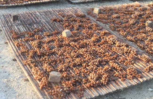 Tour gastronômico por Denia - Foto 6