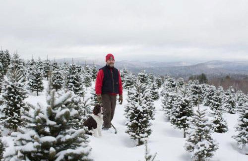 Experience the Rocks Estate like never before with a stay at the Gardeners Cottage! - Foto 48