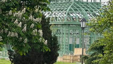 Landgut Ziegler - Foto 5, Garden, Garden view