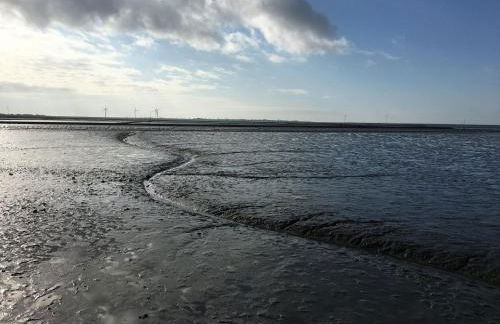 Ferienwohnung-Austernfischer - Foto 23