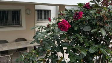 Casa Norma Oasi di pace a un passo dal mare - Foto 5