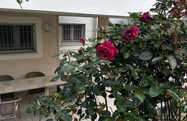 Casa Norma Oasi di pace a un passo dal mare - Foto 5