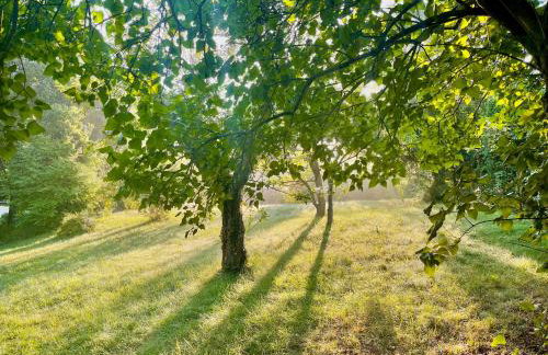 Apple Tree House - Foto 50