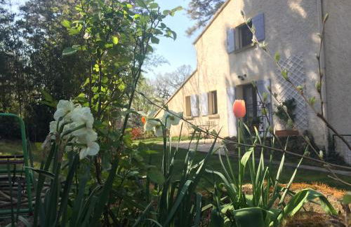 Les volets lavande - Photo 7