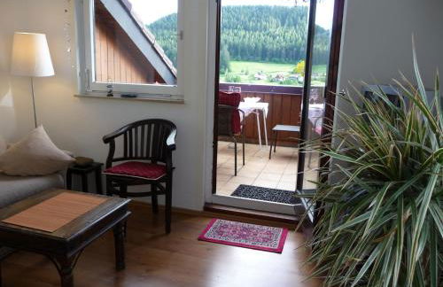 Schwarzwald-Ferienwohnungen Begert - Foto 8