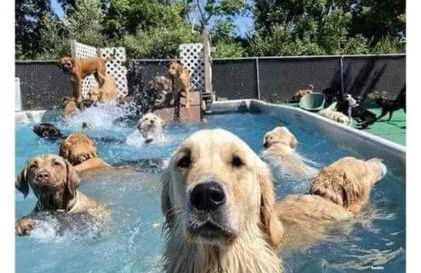 Casa Rural las Tres Rosas - Foto 43