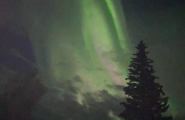 Tucked Away Timber Lower Suite - Foto 30