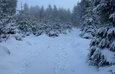 Ferienwohnung Ruppbergblick - Foto 15