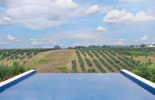 Momentum Wellness Bioresort - Foto 8