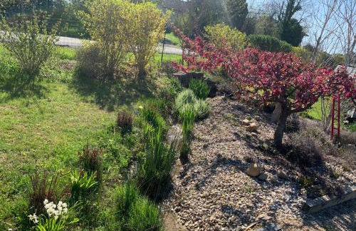 La Grenouillère - Foto 10