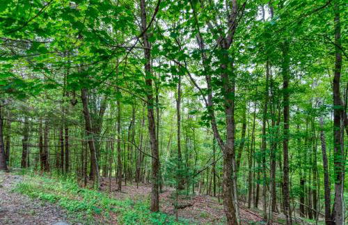 Brand New House with Huge Patio - Photo 47