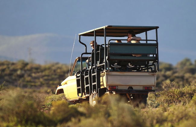 Berluda Farmhouse & Cottages - Photo 50