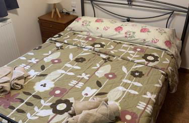 Konstantakos Michail - Photo 15