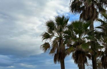 Don Juan, 99 - Photo 17