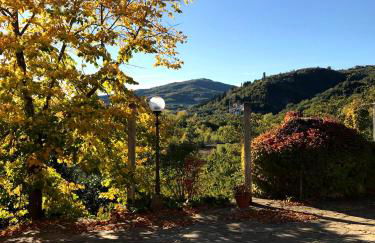 Il Pezzatino - Foto 96