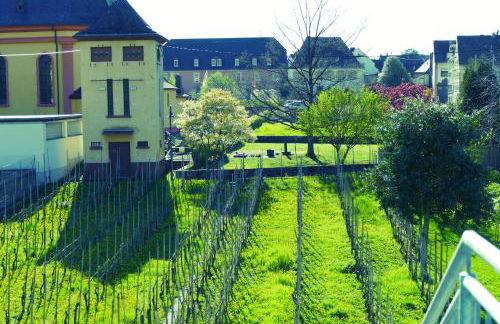 Luiza Fewo - Foto 24