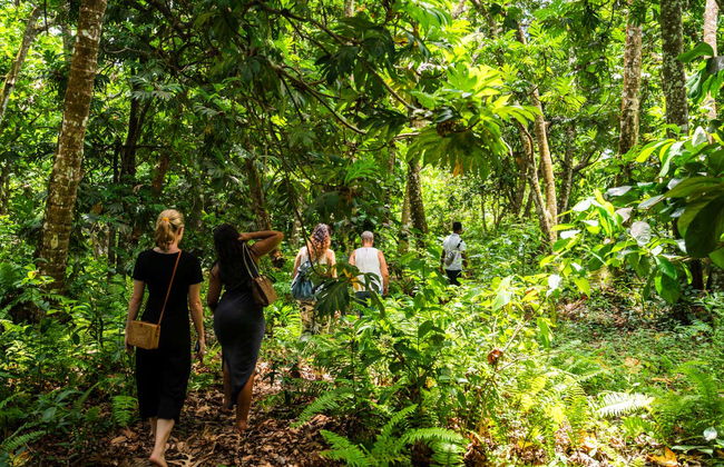 Escursione alla foresta di Jozani - Foto 6