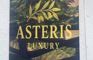 Asteris luxury house - Foto 34